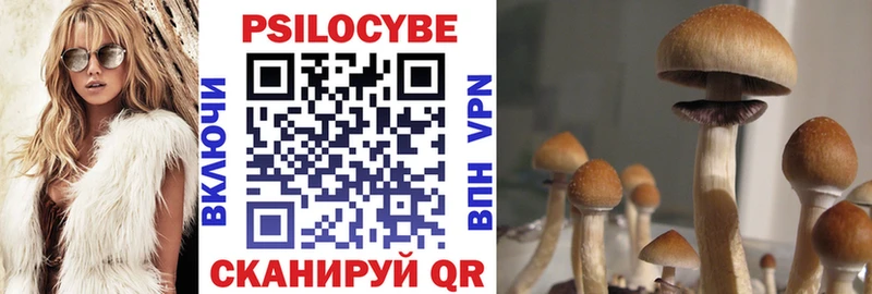 Купить закладки  Курлово  Псилоцибиновые грибы прущие грибы 